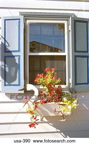 Swan Shaped Window Box Maryland USA View Large Photo Image Stock Image - Swan Shaped Window Box Maryland USA. Fotosearch