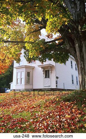 Stock Photo - White Wood House and Fallen Leaves New Hampshire USA. Fotosearch