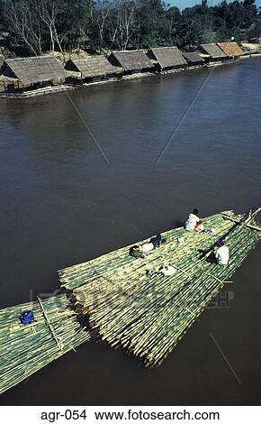 Bamboo being transported down Thai River View Large Photo Image Picture - Bamboo being transported down Thai River. Fotosearch