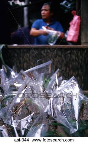 Bird Food in Bags Bird Hong Kong View Large Photo Image Picture - Bird Food in Bags Bird Hong Kong. Fotosearch