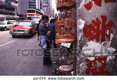 Picture - Bird Market in a Street Kowloon Hong Kong. Fotosearch