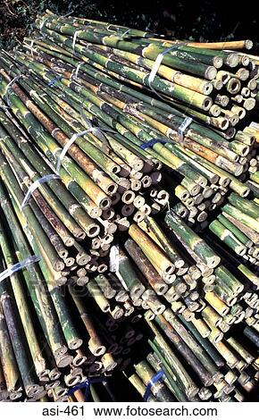 Stock Image - Bundles of Tied Bamboo Thailand Asia. Fotosearch