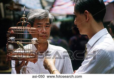 Caged Bird Hong Kong View Large Photo Image Stock Image - Caged Bird Hong Kong. Fotosearch