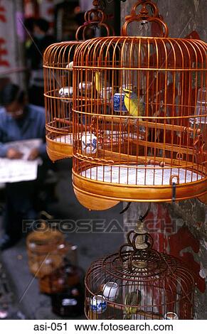Caged Song Birds Hong Kong View Large Photo Image Stock Image - Caged Song Birds Hong Kong. Fotosearch