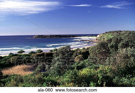 Chinaman's Beach New South Wales Australia View Large Photo Image Stock Image - Chinaman's Beach New South Wales Australia. Fotosearch
