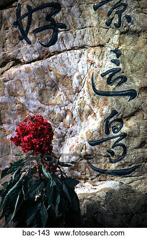 Stock Image - Chinese Writing on Boulder. Fotosearch