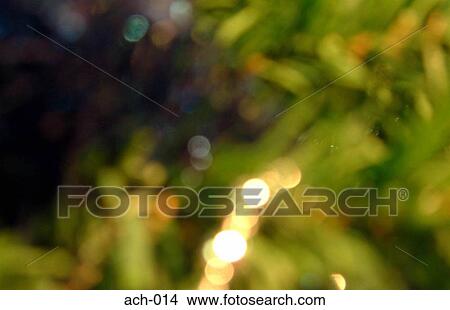 Close Up of Christmas Tree View Large Photo Image Picture - Close Up of Christmas Tree. Fotosearch