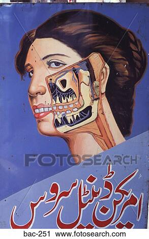 Cut Away Picture of Woman's Head Pakistan View Large Photo Image Stock Image - Cut Away Picture of Woman's Head Pakistan. Fotosearch
