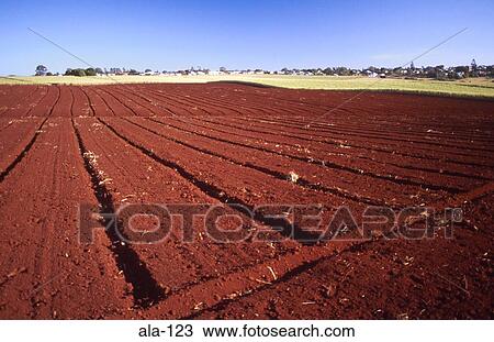 Deep Red Plough Soil Childers Queensland Australia View Large Photo Image Stock Image - Deep Red Plough Soil Childers Queensland Australia. Fotosearch