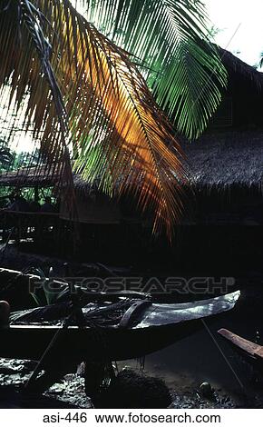 Stock Photograph - Dugout Boat under Palm Thailand Asia. Fotosearch