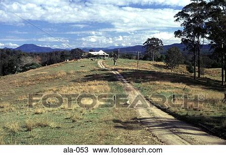 Farm Track Wooton New South Wales Australia View Large Photo Image Stock Image - Farm Track Wooton New South Wales Australia. Fotosearch