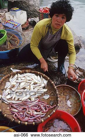 Fishwoman Hong Kong View Large Photo Image Stock Photograph - Fishwoman Hong Kong. Fotosearch