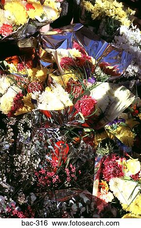 Flowers in a Flower Stall View Large Photo Image Stock Photograph - Flowers in a Flower Stall. Fotosearch
