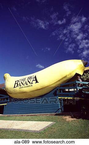 Giant Model of a Banana Cotts Harbour NSW Australia View Large Photo Image Stock Photo - Giant Model of a Banana Cotts Harbour NSW Australia. Fotosearch
