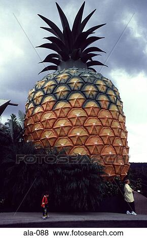 Giant Model Pineapple Queensland Australia View Large Photo Image Stock Photo - Giant Model Pineapple Queensland Australia. Fotosearch