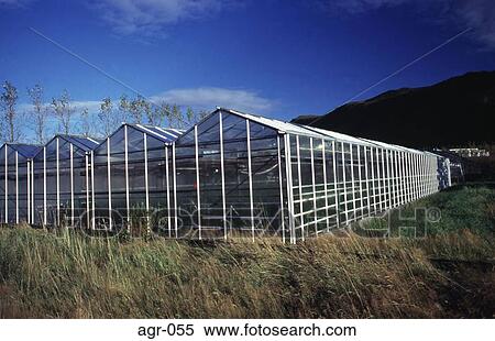 Greenhouses in Iceland View Large Photo Image Stock Photography - Greenhouses in Iceland. Fotosearch