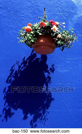 Stock Image - Hanging Basket of flowers on a Blue Background. Fotosearch