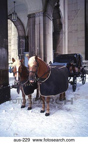 Horse and Trap Salzburg Austria View Large Photo Image Stock Photo - Horse and Trap Salzburg Austria. Fotosearch