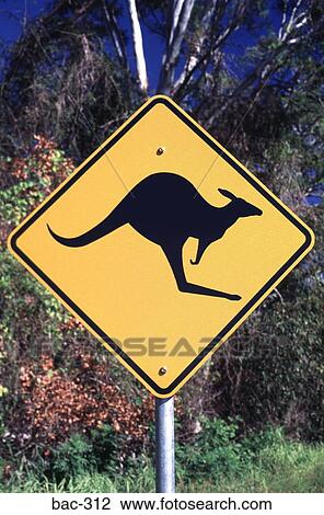 Kangaroo Warning Sign Australia View Large Photo Image Stock Image - Kangaroo Warning Sign Australia. Fotosearch