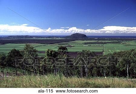Landscape at Yandina Queensland Australia View Large Photo Image Stock Photography - Landscape at Yandina Queensland Australia. Fotosearch