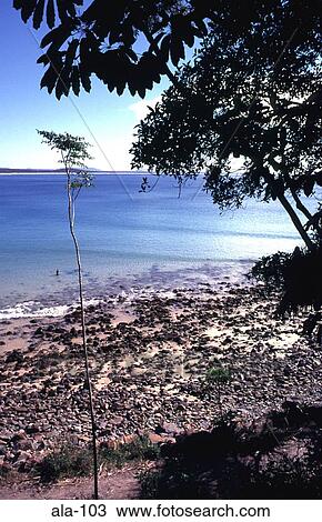 Little Cove Beach Noosa Queensland Australia View Large Photo Image Stock Image - Little Cove Beach Noosa Queensland Australia. Fotosearch