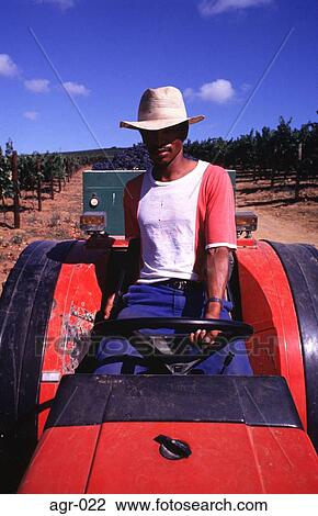 Man Driving a Tractor South Africa View Large Photo Image Stock Image - Man Driving a Tractor South Africa. Fotosearch