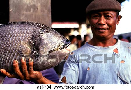 Man Holding Fish Zamboanga The Philippines Asia View Large Photo Image Picture - Man Holding Fish Zamboanga The Philippines Asia. Fotosearch