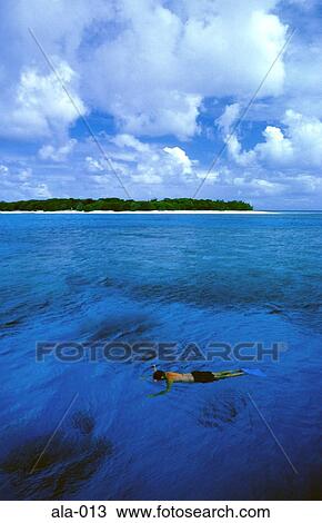 Stock Image - Man Swimming near Lady Musgrove Island Australia. Fotosearch