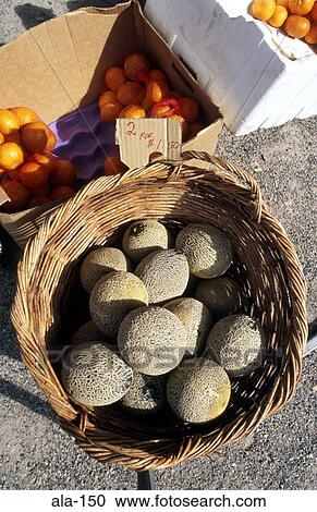 Melons in a Basket on Market Stall Australia View Large Photo Image Stock Image - Melons in a Basket on Market Stall Australia. Fotosearch
