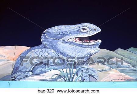 Mural Showing Lizard Australia View Large Photo Image Stock Image - Mural Showing Lizard Australia. Fotosearch