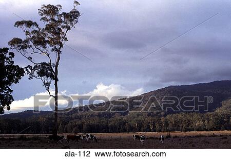 New South Wales Landscape Australia View Large Photo Image Stock Image - New South Wales Landscape Australia. Fotosearch