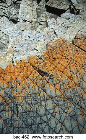 Orange Lichen on Fractured Rock Face View Large Photo Image Stock Image - Orange Lichen on Fractured Rock Face. Fotosearch