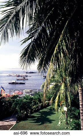 Stock Photograph - Palm Garden Zamboanga The Philippines Asia. Fotosearch
