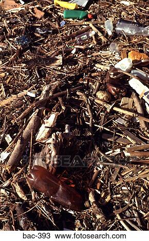 Pile of Flotsam Washed Up on Beach View Large Photo Image Stock Image - Pile of Flotsam Washed Up on Beach. Fotosearch