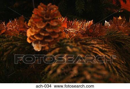 Pine Cones on Christmas Tree View Large Photo Image Picture - Pine Cones on Christmas Tree. Fotosearch