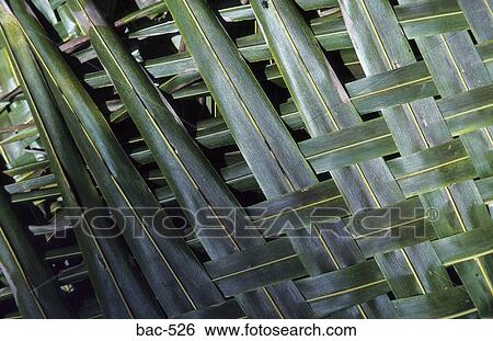 Stock Photograph - Plaited Coconut Leaves. Fotosearch