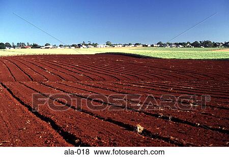 Ploughed Field near Childers Queensland Australia View Large Photo Image Stock Photo - Ploughed Field near Childers Queensland Australia. Fotosearch
