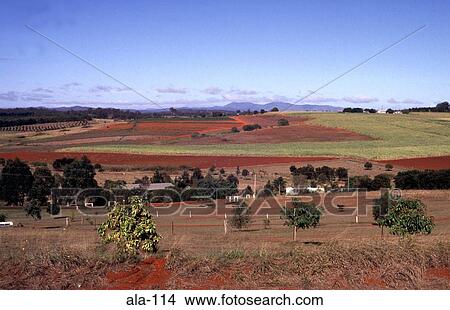 Ploughed Fields near Childers Queensland Australia View Large Photo Image Picture - Ploughed Fields near Childers Queensland Australia. Fotosearch