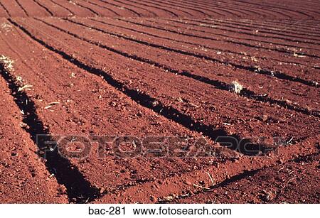 Red Ploughed Soil Australia View Large Photo Image Stock Image - Red Ploughed Soil Australia. Fotosearch