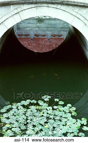 Picture - Reflections in Lily Pond Forbidden City Beijing. Fotosearch