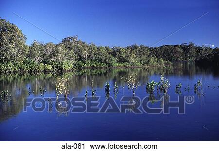 River at Yamba New South Wales Australia View Large Photo Image Stock Image - River at Yamba New South Wales Australia. Fotosearch