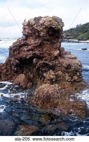Rock Outcrop on Beach Port MacQuarie Australia View Large Photo Image Stock Photography - Rock Outcrop on Beach Port MacQuarie Australia. Fotosearch