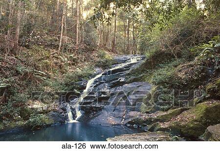 Rocky Stream in Rainforest Blackall Range Australia View Large Photo Image Stock Photograph - Rocky Stream in Rainforest Blackall Range Australia. Fotosearch