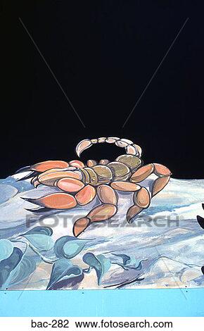 Sign Showing Scorpion View Large Photo Image Stock Image - Sign Showing Scorpion. Fotosearch