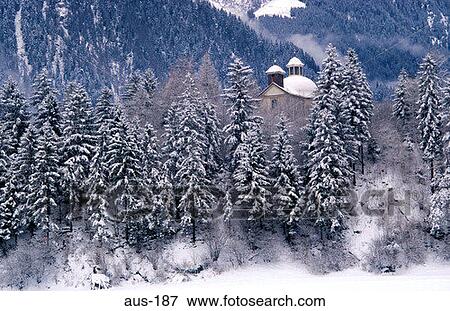 Snow Covered Woods Austria View Large Photo Image Stock Photo - Snow Covered Woods Austria. Fotosearch