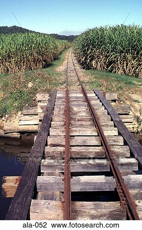 Sugar Cane Railway Track Queensland Australia View Large Photo Image Stock Image - Sugar Cane Railway Track Queensland Australia. Fotosearch