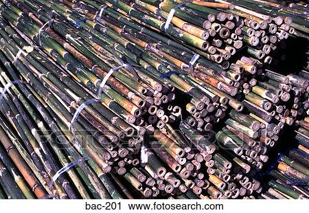 Stock Image - Tied Bamboo Thailand. Fotosearch