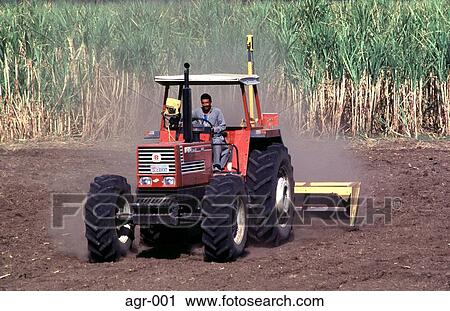 Stock Image - Tractor Ploughing Field of Sugar Cane Egypt. Fotosearch