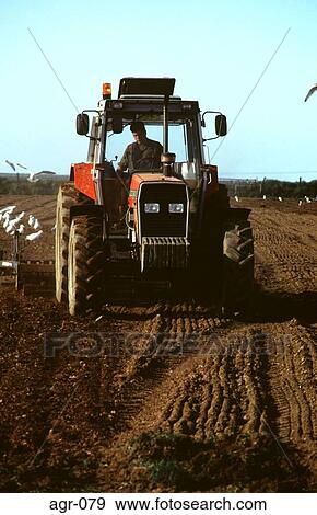 Tractor Working Ploughed Field View Large Photo Image Stock Photo - Tractor Working Ploughed Field. Fotosearch