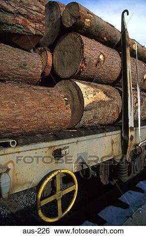 Tree Trunks on Flat Bed Railway Wagon Austria View Large Photo Image Stock Photograph - Tree Trunks on Flat Bed Railway Wagon Austria. Fotosearch